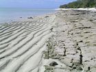 Beach rock along the southern margin of Heron Island. The rock is covered at high tide.